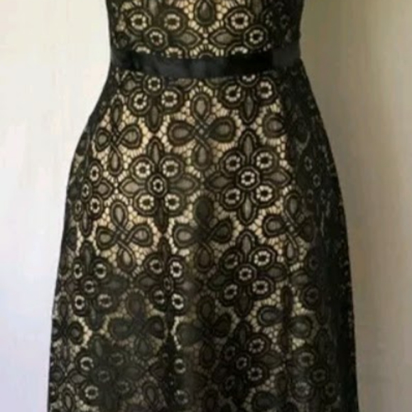 Black Lace Dress - Picture 5 of 5